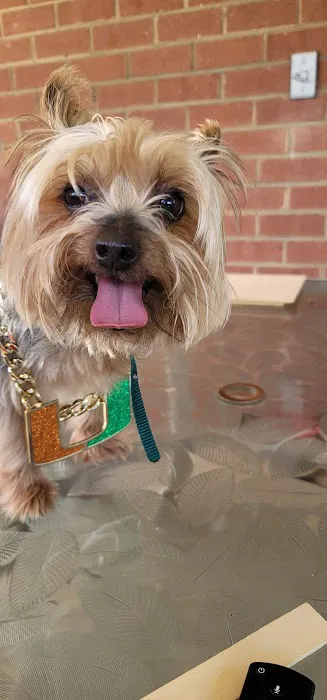 Animal Care Center Of Salem Picture 4
