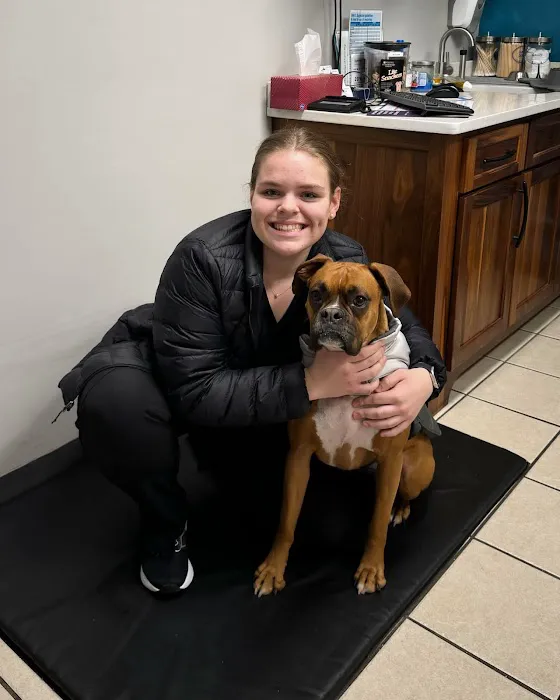 Big Lick Veterinary Services Picture 1