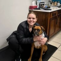 Big Lick Veterinary Services ico