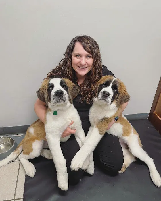 Big Lick Veterinary Services Picture 4