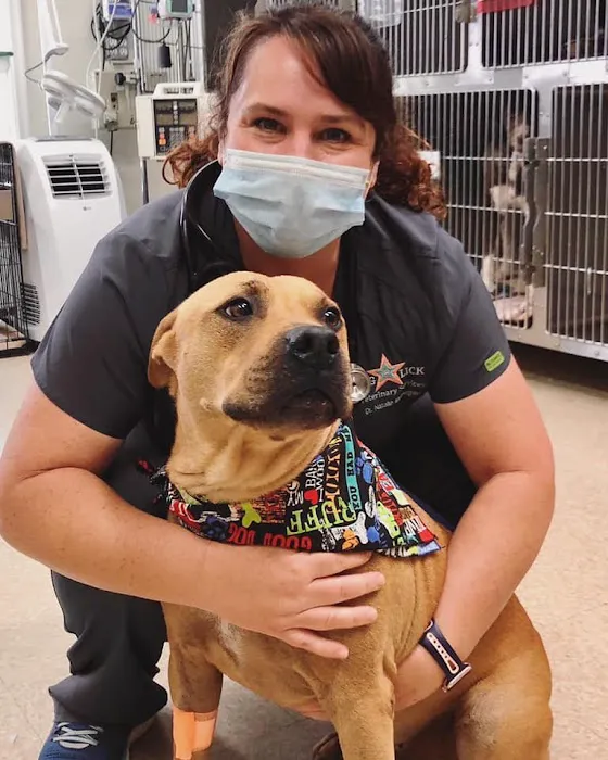Big Lick Veterinary Services Picture 6