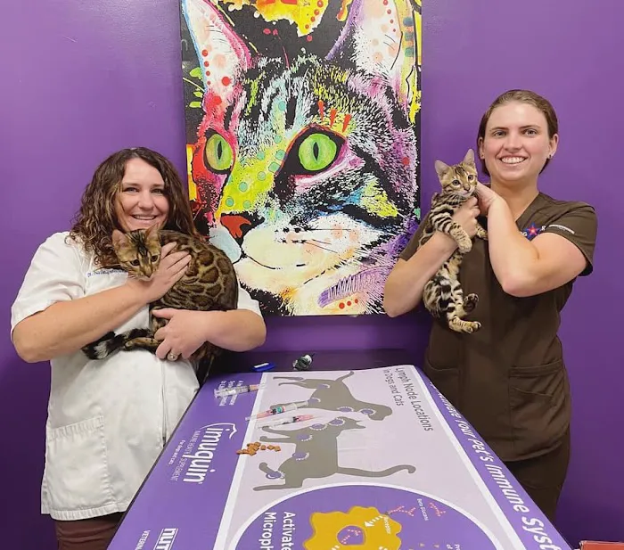 Big Lick Veterinary Services Picture 8
