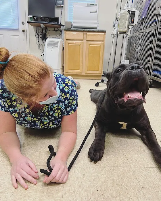 Big Lick Veterinary Services Picture 10