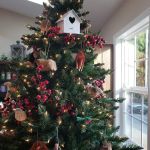 Cherrystone Veterinary Hospital