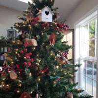 Cherrystone Veterinary Hospital ico