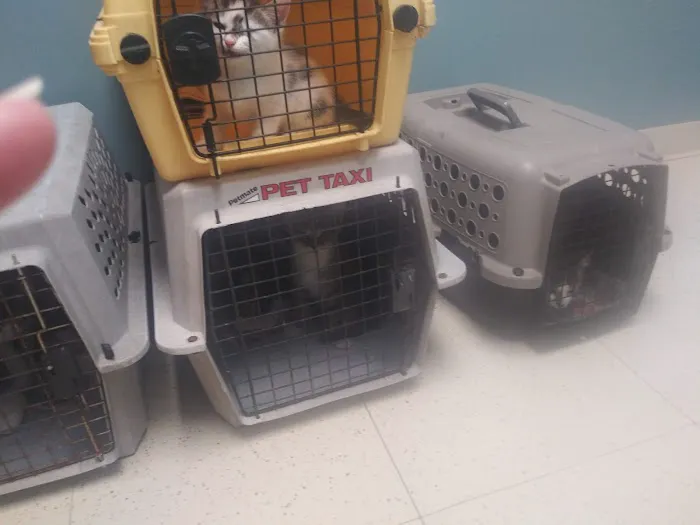 Mt. Hermon Animal Medical Center Picture 5