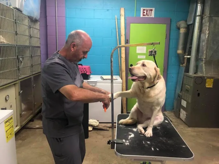 Mt. Hermon Animal Medical Center Picture 8