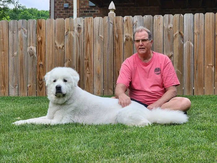 DeRolf Animal Hospital Picture 9