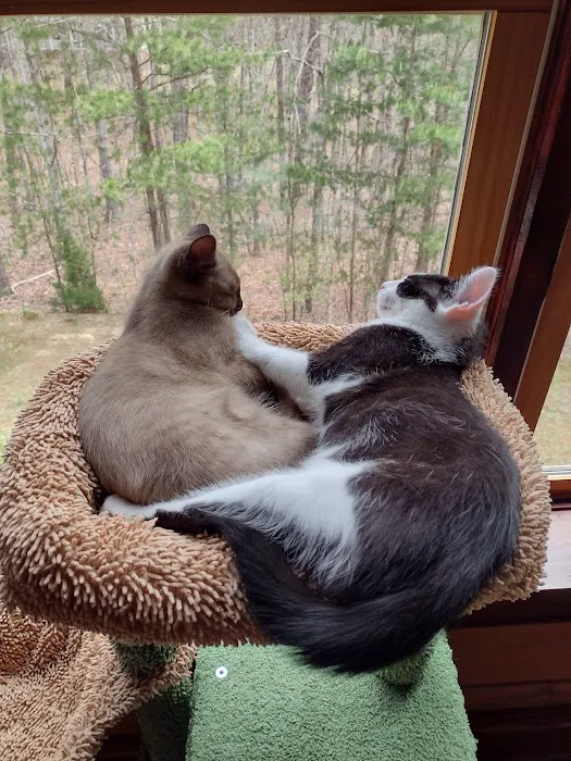 Salem Animal Hospital Picture 7