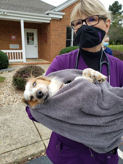 Earlysville Animal Hospital Picture 2