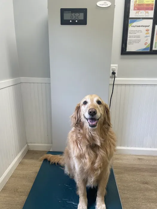Earlysville Animal Hospital Picture 1