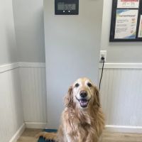 Earlysville Animal Hospital ico