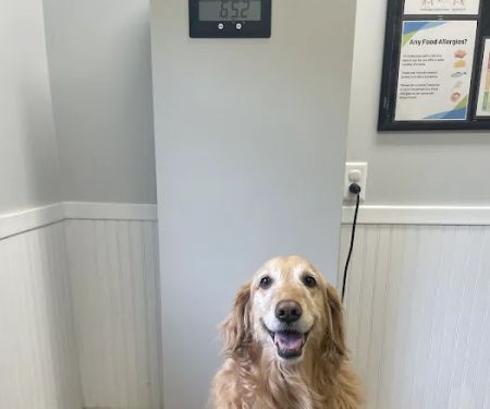 Earlysville Animal Hospital