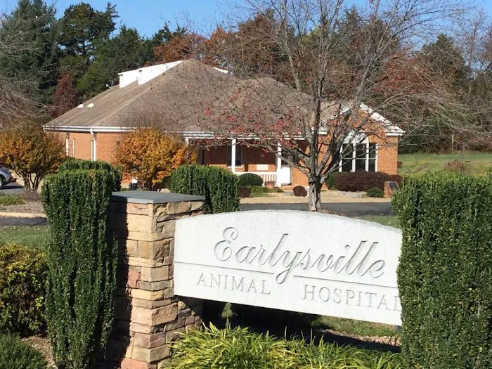 Earlysville Animal Hospital Picture 7