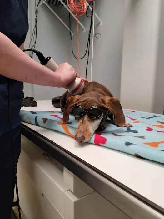 Hollymead Veterinary Hospital (formerly VETSS) Picture 1