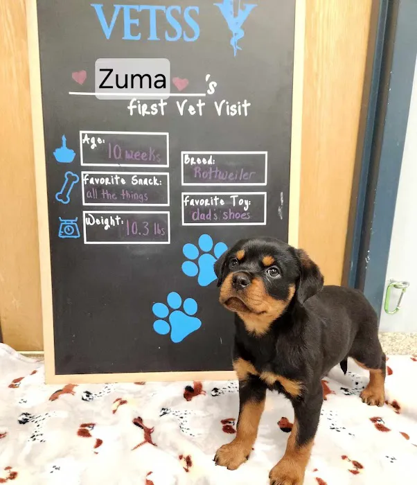 Hollymead Veterinary Hospital (formerly VETSS) Picture 10