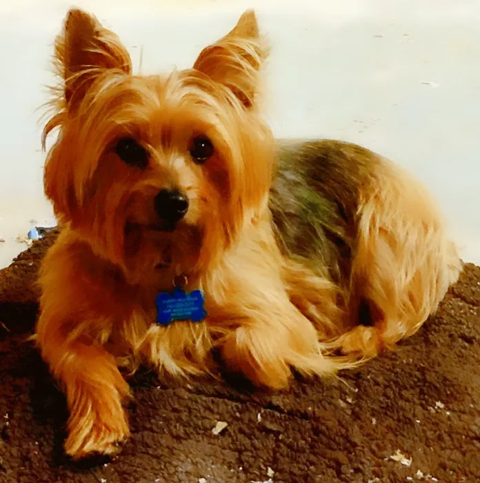 Banfield Pet Hospital Picture 3