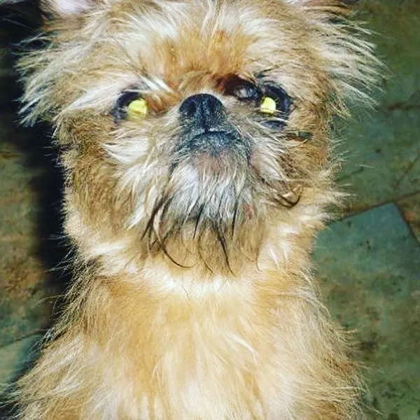 Banfield Pet Hospital Picture 7