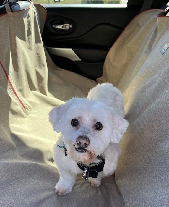 Airport Animal Clinic Picture 4