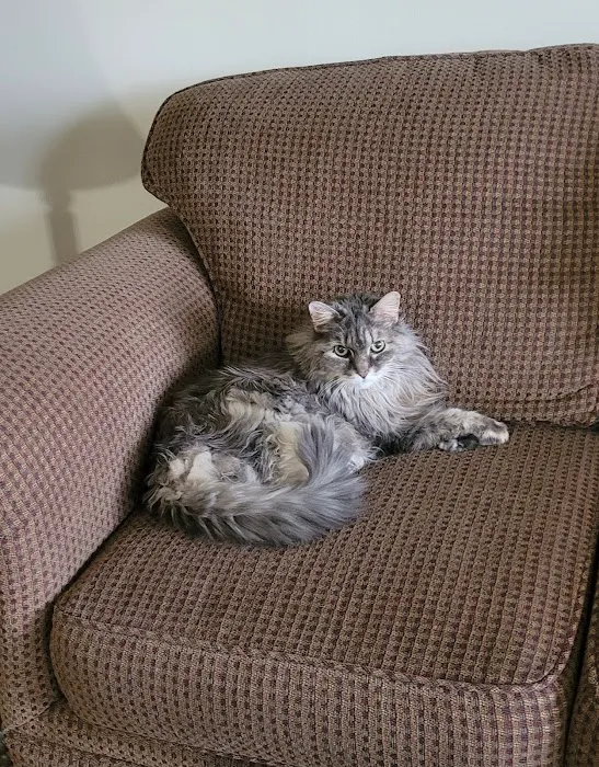 Newton Falls Animal Hospital Picture 2
