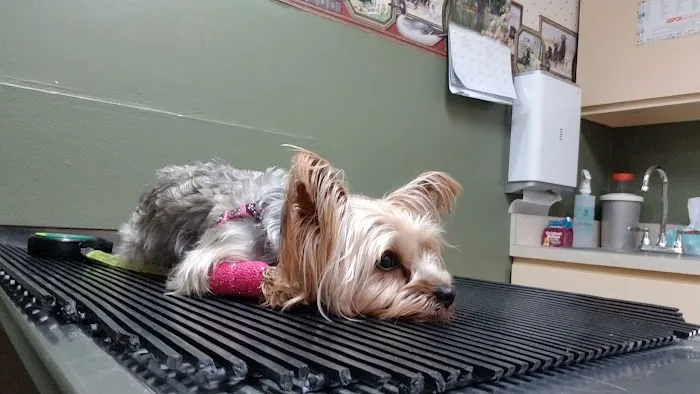 Newton Falls Animal Hospital Picture 3
