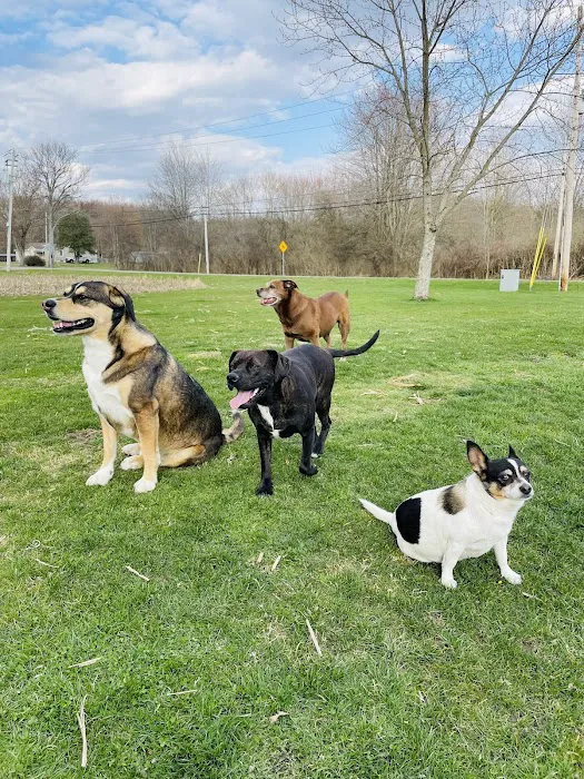 Newton Falls Animal Hospital Picture 8