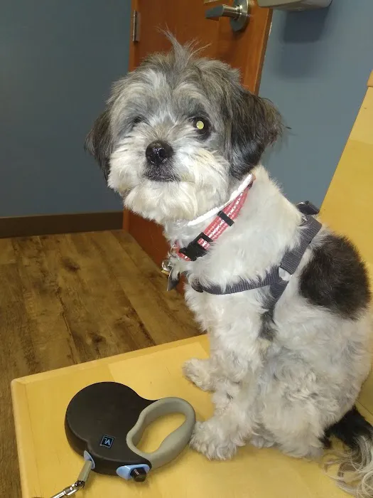 Countryside Veterinary Service - Middlefield Picture 1
