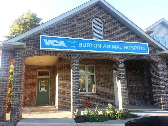 VCA Burton Animal Hospital Picture 7