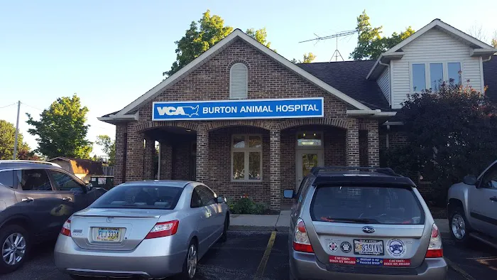 VCA Burton Animal Hospital Picture 6