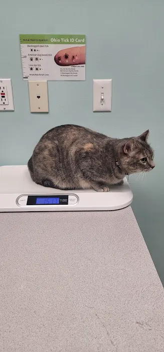 VCA Burton Animal Hospital Picture 4