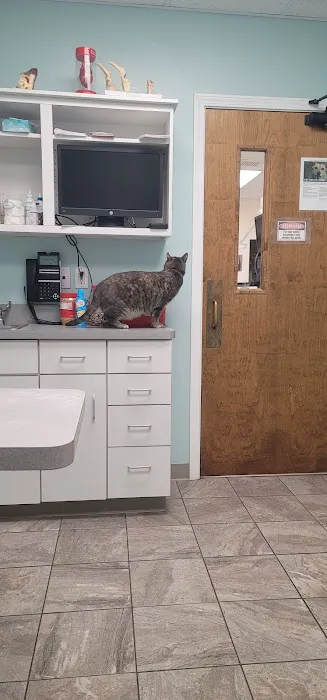 VCA Burton Animal Hospital Picture 9