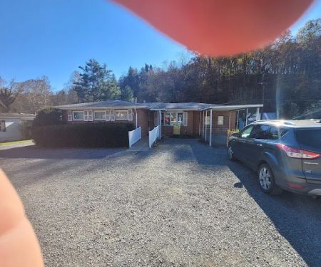 Mountain State Veterinary Services