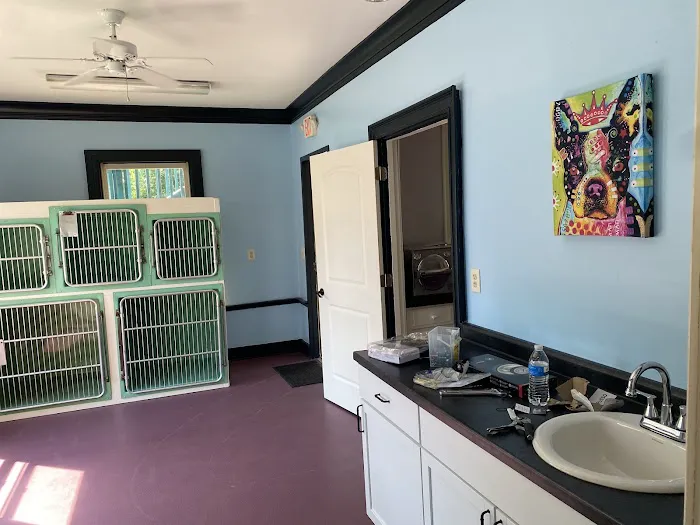 Nose To Tail Veterinary Clinic Picture 5