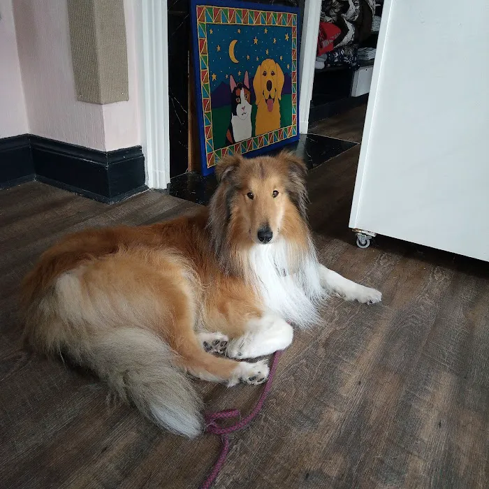 Nose To Tail Veterinary Clinic Picture 8