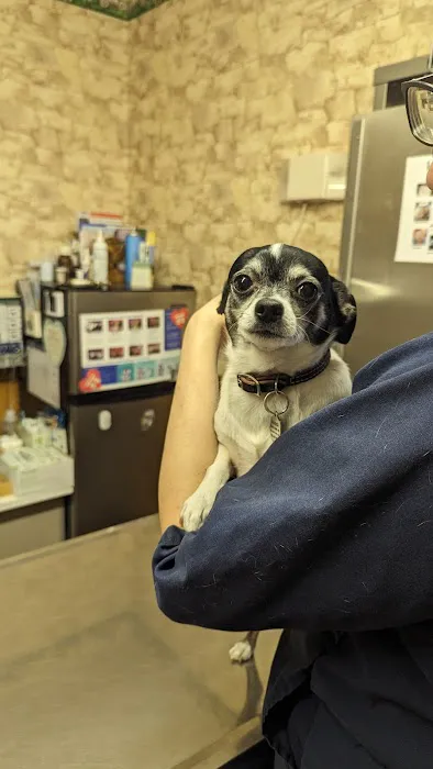 Camden Animal Clinic Picture 3