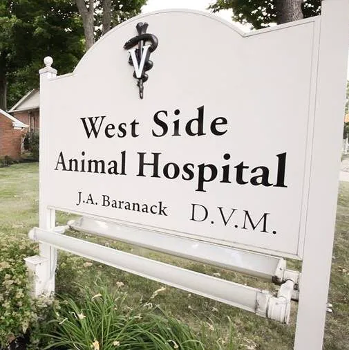 West Side Animal Hospital Picture 4