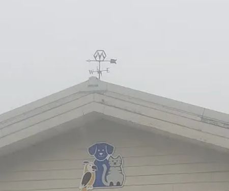 Hill-Crest Veterinary Hospital