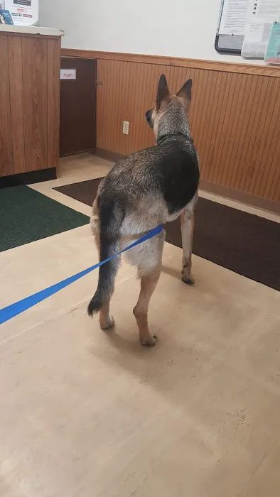 Hill-Crest Veterinary Hospital Picture 2