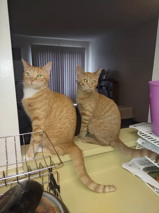 Mellett Animal Hospital Picture 9