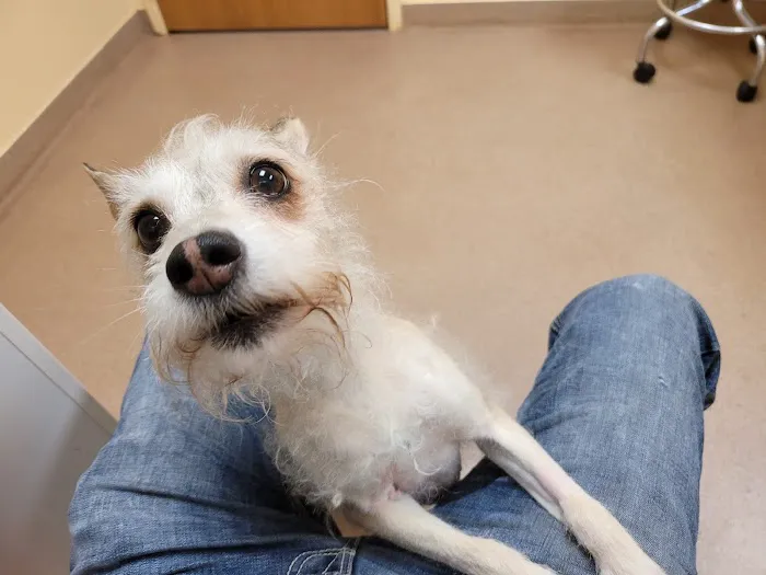 Valley View Animal Hospital Picture 2