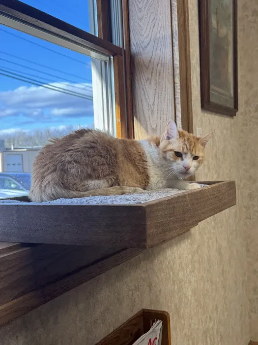 Oak Pointe Veterinary Care Picture 4