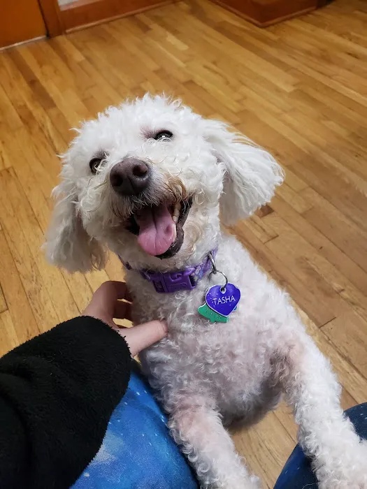 Oak Pointe Veterinary Care Picture 2
