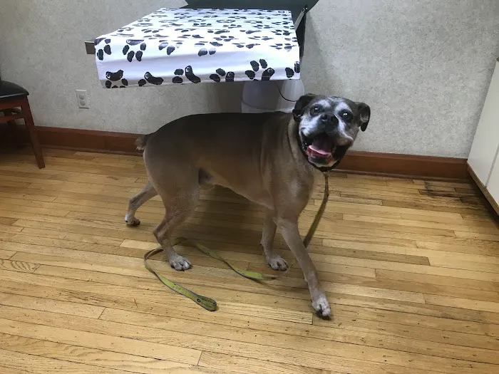 Oak Pointe Veterinary Care Picture 6