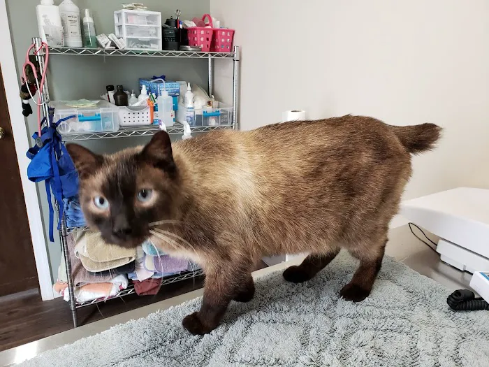 Bliss Veterinary Services Picture 5