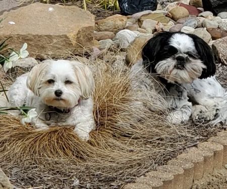 Sugarcreek Veterinary Clinic