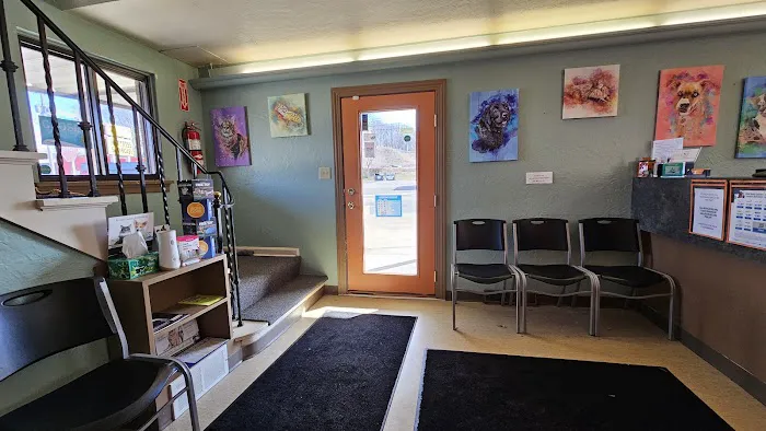 Humble Creatures Veterinary Clinic Picture 4