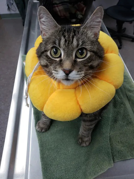 Stark Animal Hospital Picture 4