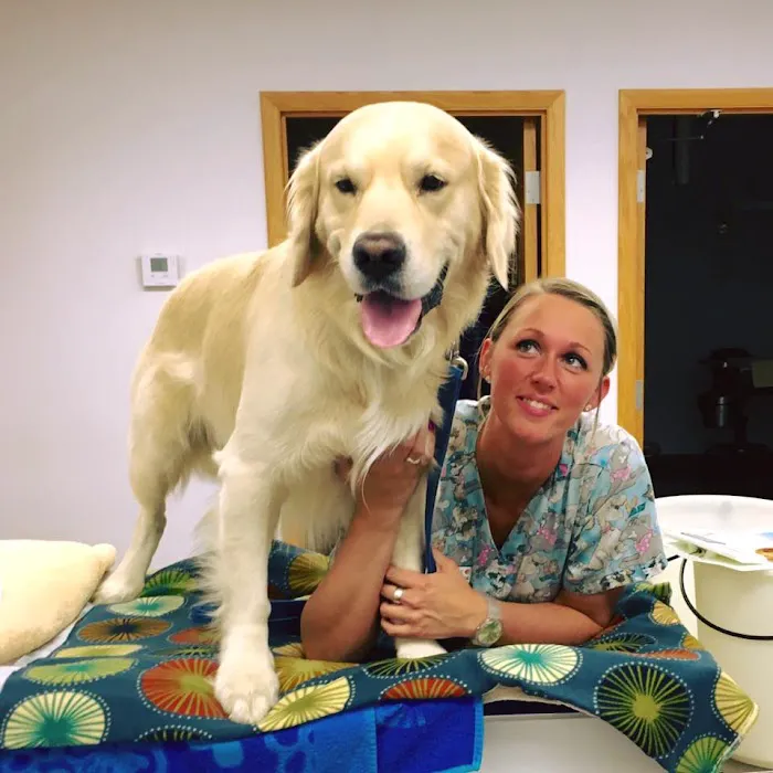 Stark Animal Hospital Picture 5
