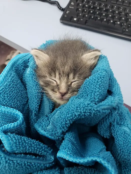 Stark Animal Hospital Picture 9