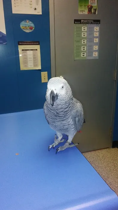 Market North Veterinary Hospital Picture 10